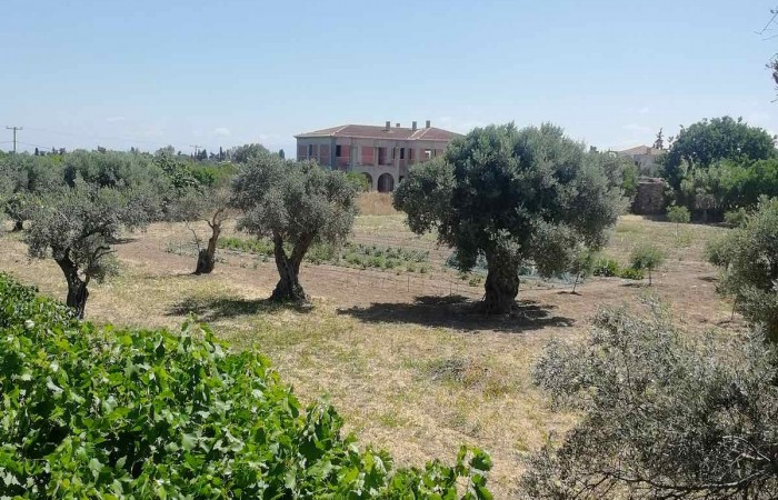 viber_image_2023-03-31_12-28-24-719