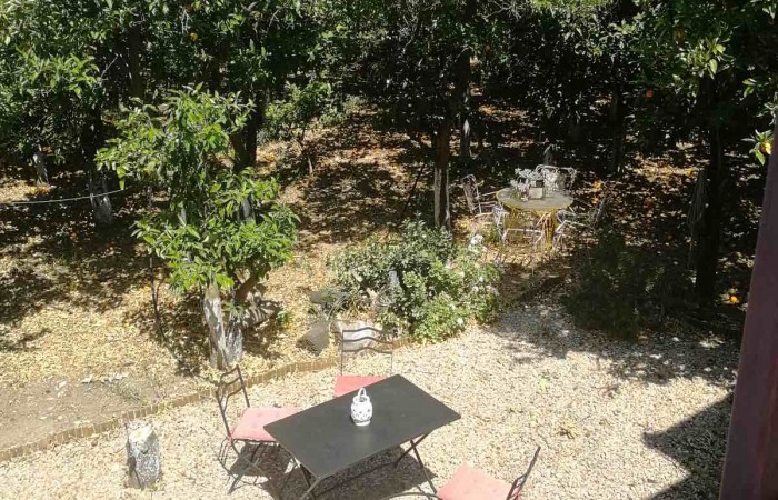 viber_image_2023-03-31_12-28-26-120